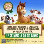 Piauí inicia a primeira etapa de 2025 da campanha de atualização cadastral de rebanho