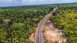 social