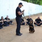 PM-PI abre inscrições para treinamento para atuação com cães policiais