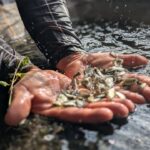 Governo do Piauí investe R$ 39 milhões em equipamentos, irrigação e piscicultura para agricultores familiares