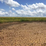 Piauí permanece 100% sob seca mesmo durante período chuvoso, aponta monitor da Semarh