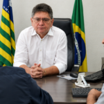 Adapi, Apipa e DNIT alinham ações para prevenir avanço do bicudo-do-algodoeiro no Piauí