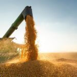 Balança Comercial do Piauí teve crescimento de 13% em junho e indica recuperação das exportações do estado
