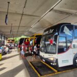 Transporte gratuito para eleitores no Piauí: confira o passo a passo para garantir ida e volta